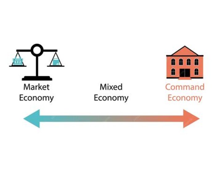 What does a market economy determine?