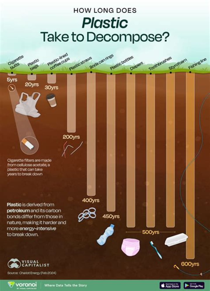 What does a plastic bag represent?