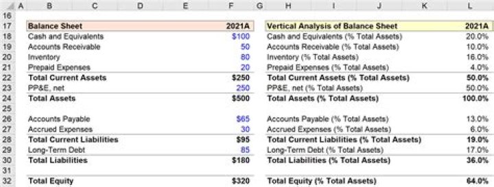 What does a vertical analysis on a balance sheet show?