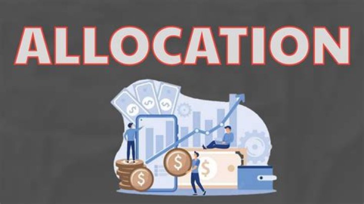 What does allocation mean in economics?