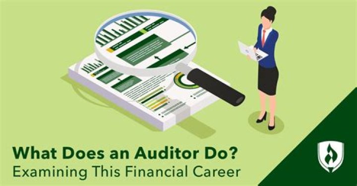 What does an auditor provide?