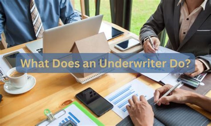 What does an underwriter in an IPO do?