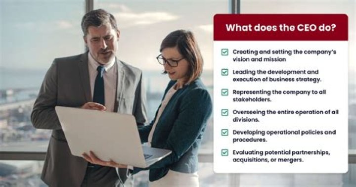 What does CEO do in a company?