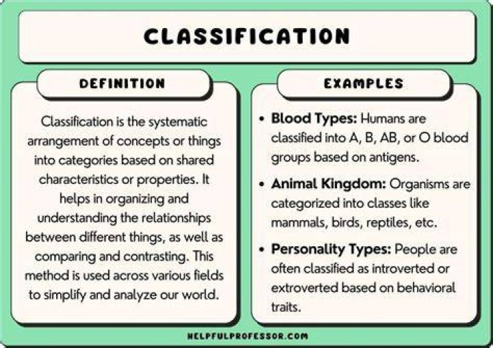 What does classification mean in accounting?