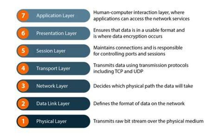 What does each layer of the OSI model do?