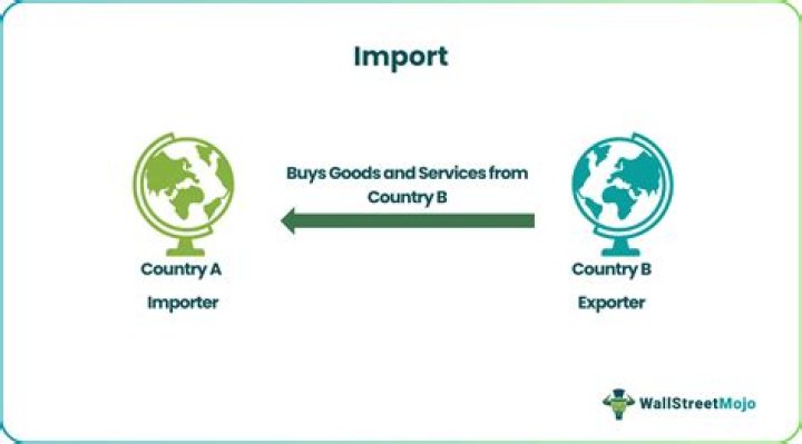 What does import mean in simple terms?
