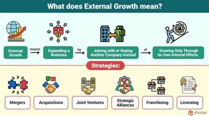 What does internal growth mean?