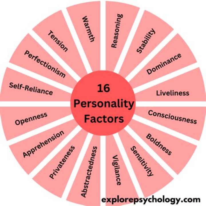 What does it mean to be full of personality?