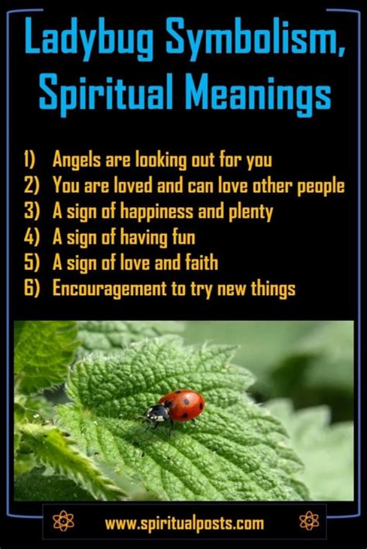 What does ladybug symbolize?