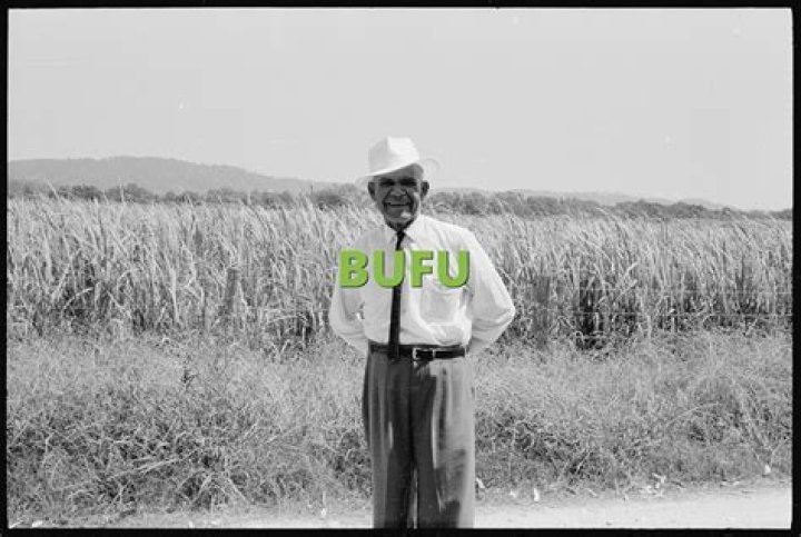 What does Mr BUFU mean?