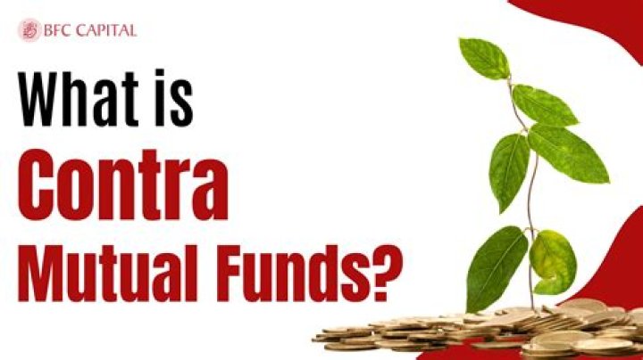 What does mutual fund costs include?