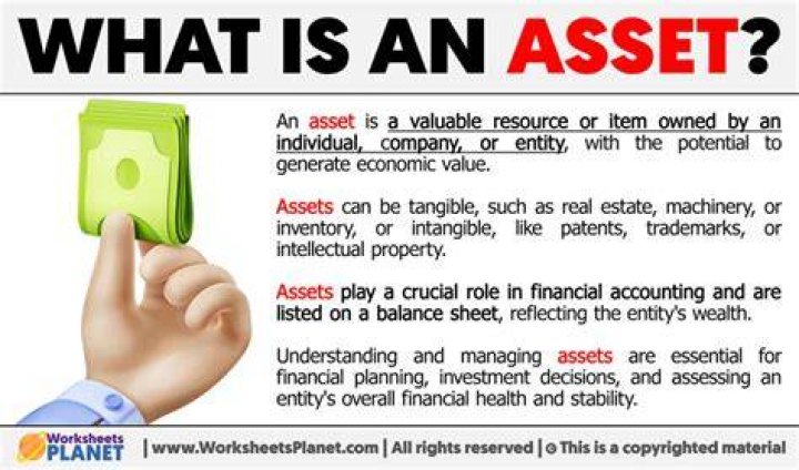 What does plant assets mean?