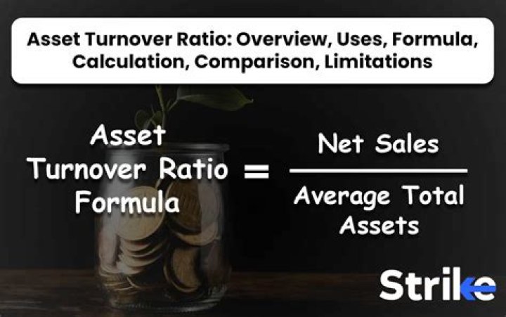 What does the asset ratio measure?