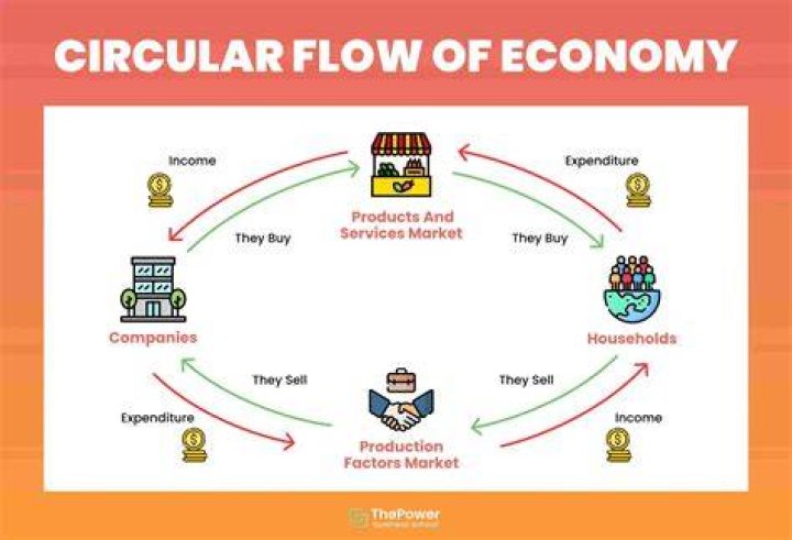 What does the circular flow model represent?