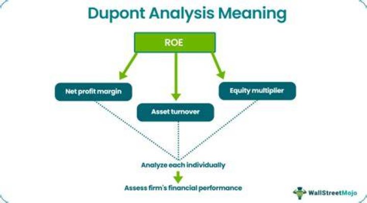 What does the DuPont analysis tell you?
