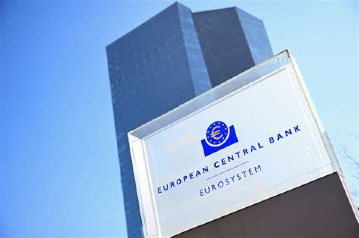 What does the European Central Bank manage?