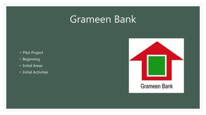What does the Grameen Bank specialize in?