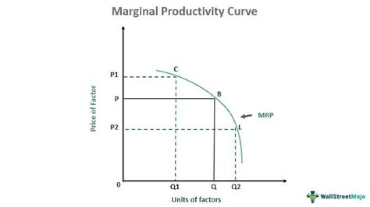 What does the marginal product curve show?