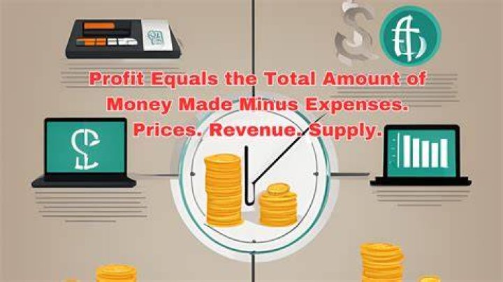 What equals revenue minus all expenses?