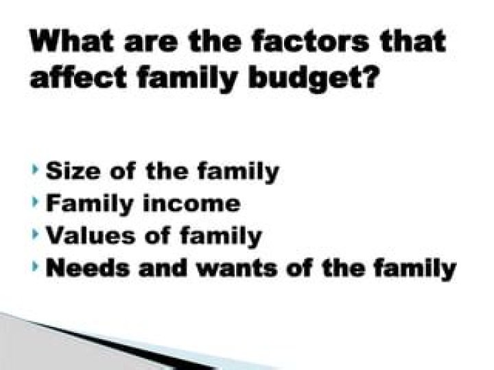 What factors affect family budget?