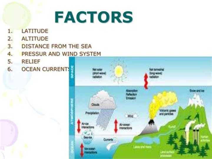 What factors affect ROA?