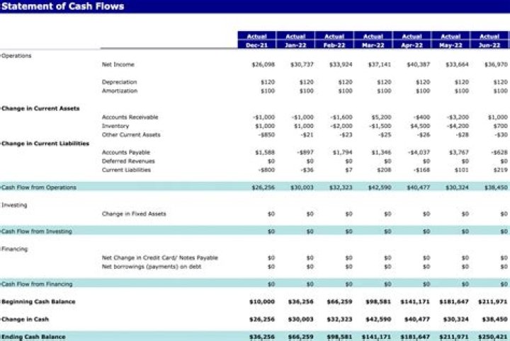 What goes on a cash flow statement?