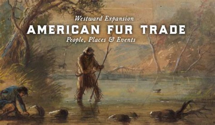 What groups were involved in the fur trade?