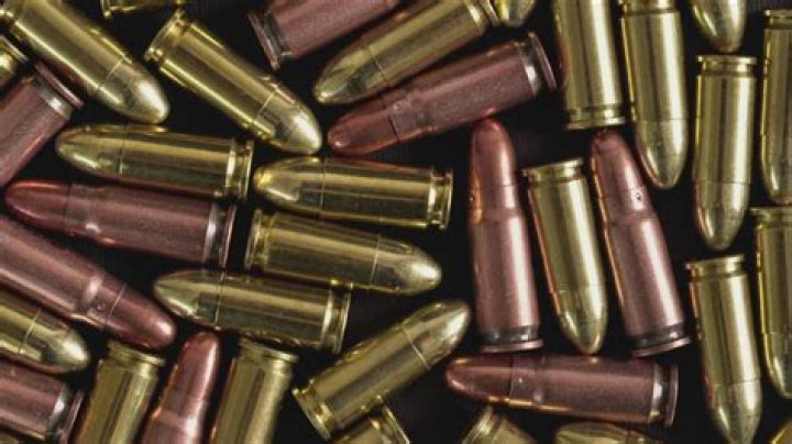 What gun and ammo companies are publicly traded?