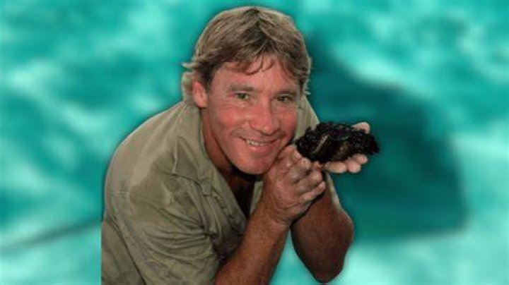 What happened to Steve chaisson?