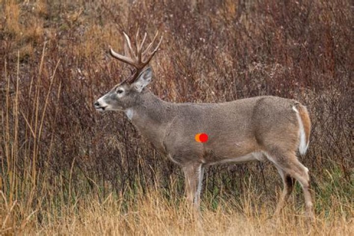 What happens when you are shot with an arrow?