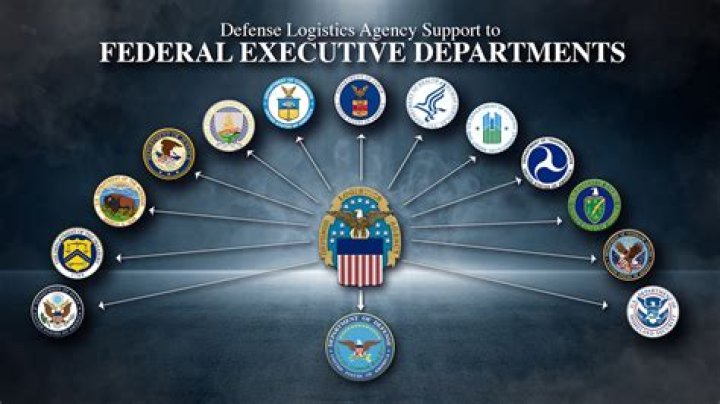 What has changed DoD officials ability to verify that each payment is accurate and legal?