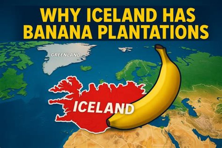 What has Iceland invented?