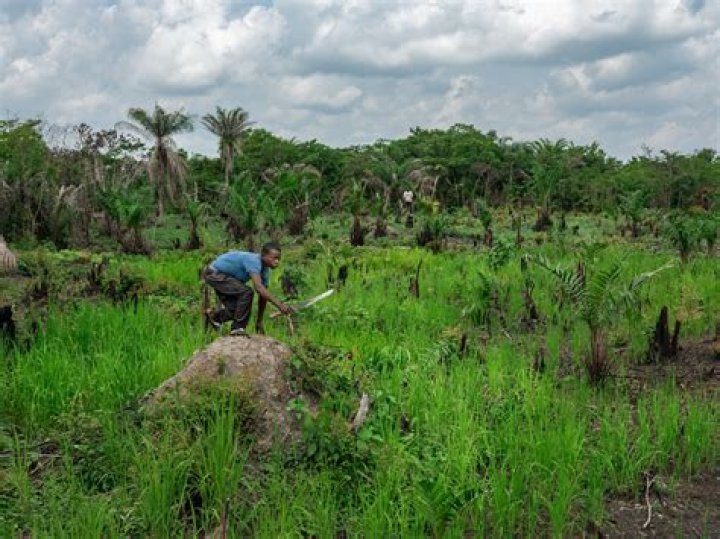 What have people done to change the environment?