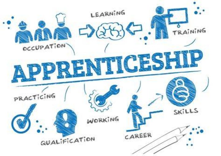 What is a Apprenticeship simple definition?