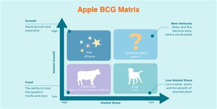 What is a BCG matrix used for?