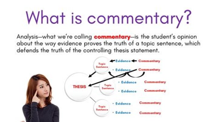 What is a commentary piece?