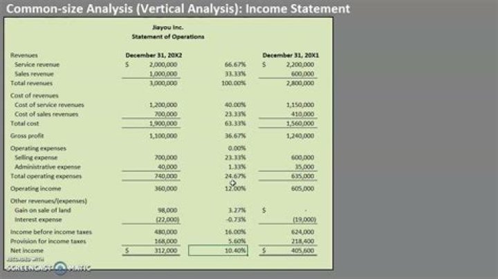 What is a common size vertical income statement?