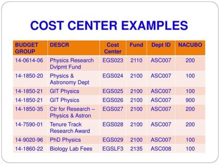 What is a cost center example?
