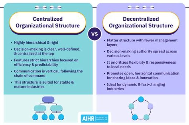 What is a decentralized organization?