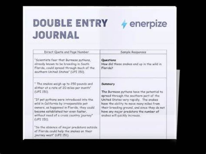 What is a double-entry journal in writing?