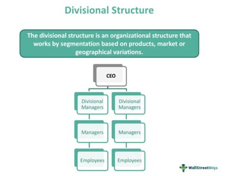What is a geographic divisional Organisational structure?