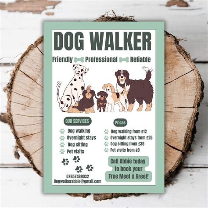 What is a good headline for a dog walker?