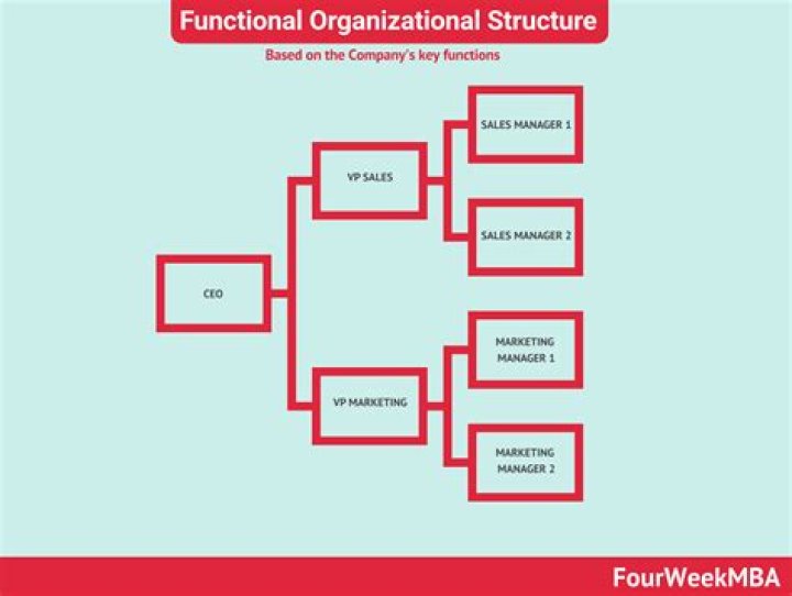 What is a hierarchical functional organizational structure?