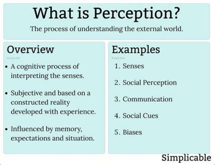 What is a perception barrier?