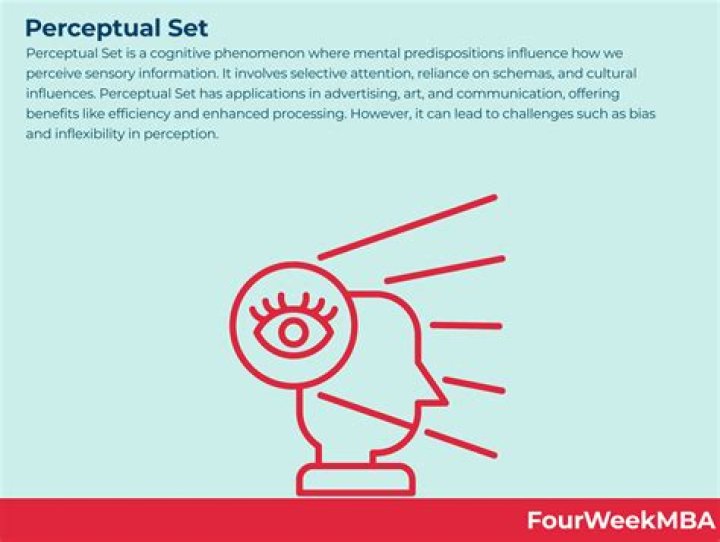 What is a perceptual bias?