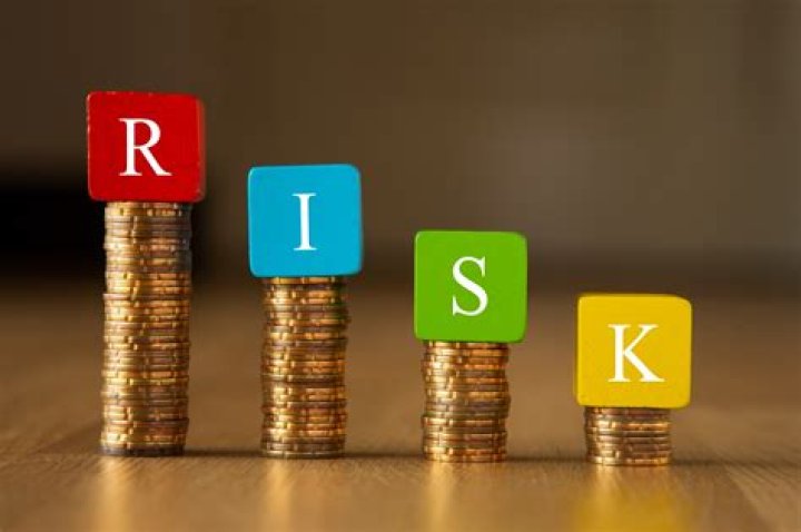 What is a person called who takes a financial risk in order to set up a business?