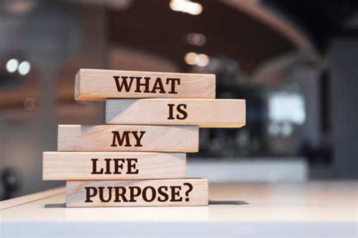 What is a purpose of a company?
