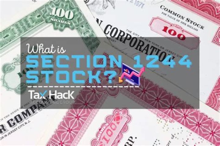 What is a Section 1244 stock?