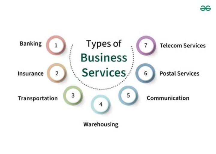 What is a service concern type of business give examples?