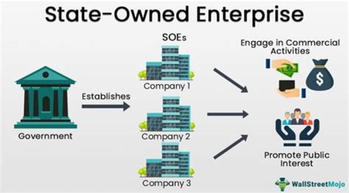 What is a state owned enterprise called?